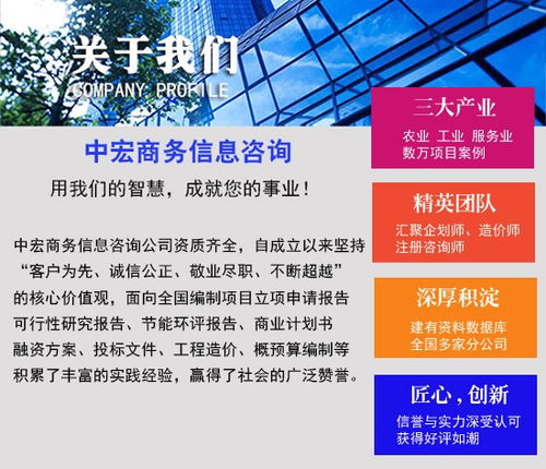 鄒平商業計劃書專業代寫與商務信息咨詢服務企劃案